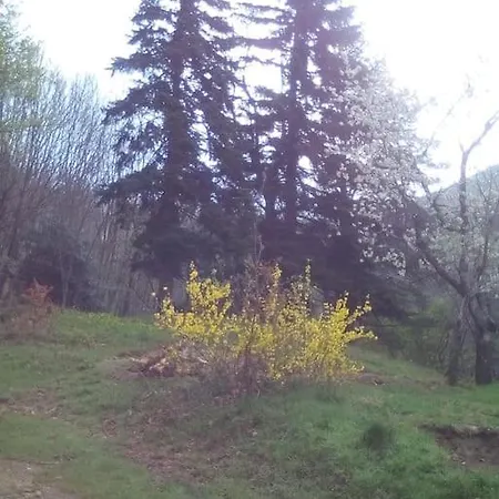 度假居 Casa Nel Bosco A 10 Minuti Da Pistoia