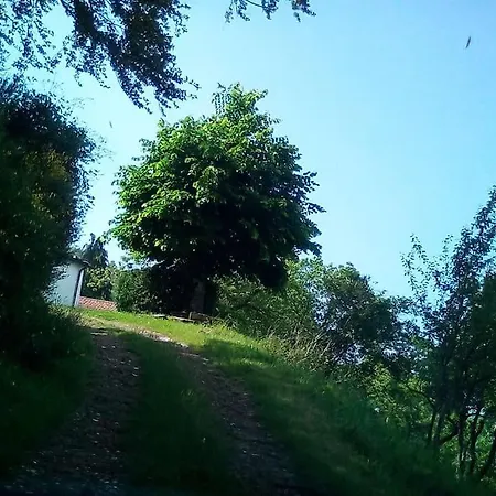 度假居 Casa Nel Bosco A 10 Minuti Da Pistoia *