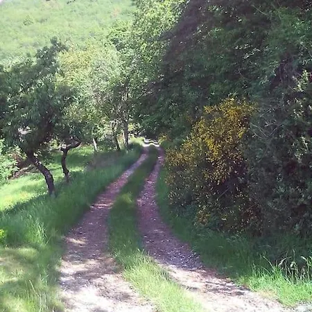 Casa Nel Bosco A 10 Minuti Da Pistoia