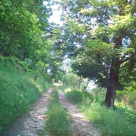 度假居 Casa Nel Bosco A 10 Minuti Da Pistoia Corbezzi
